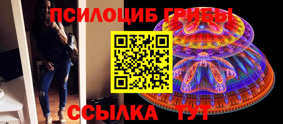 Галлюциногенные грибы мицелий Кулебаки